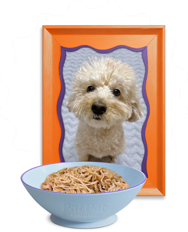 Dog Treat Image