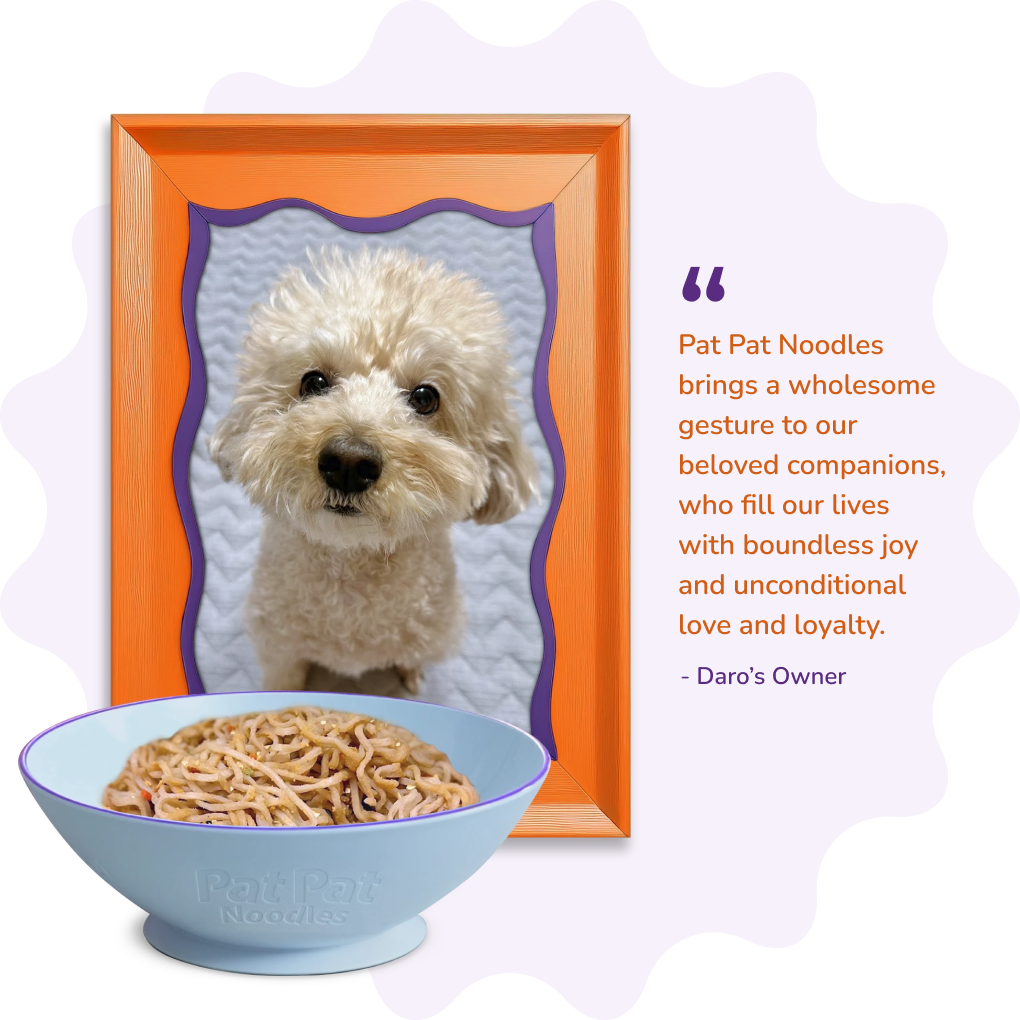 Dog Treat Image
