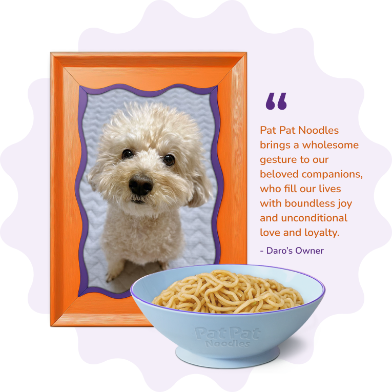 Dog Treat Image