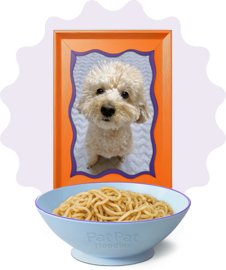 Dog Treat Image